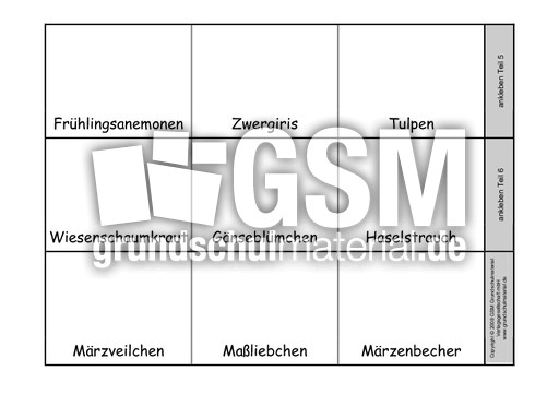 Leporello-Frühbl-Frühlingsbl-z-Einkleben-2.pdf